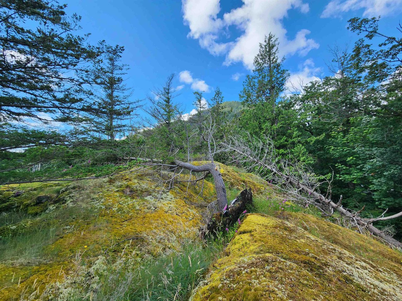 LOT 4 Brigade Bay