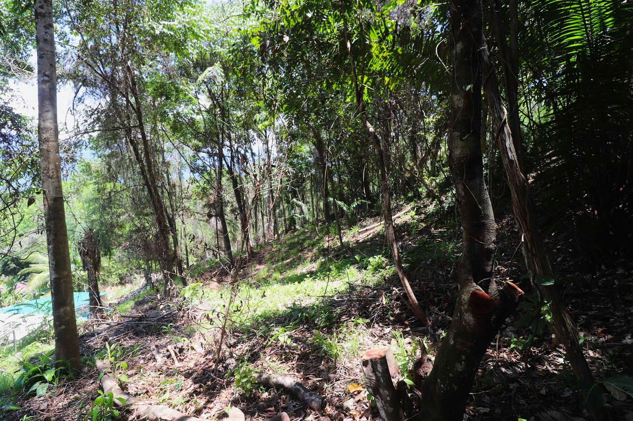 Over One Acre Attractive Lot on the Popular PEREZOSO Road.