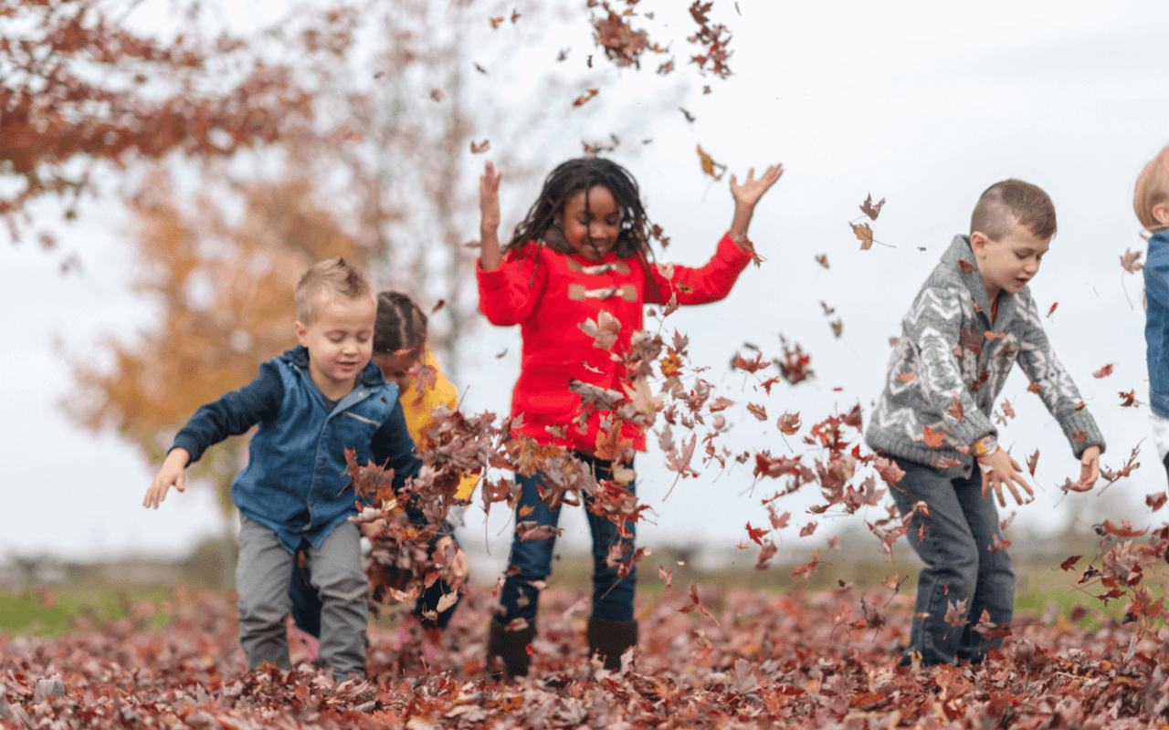 Celebrate the Fall Season in Full Color – 6 Leaf-watching Destinations