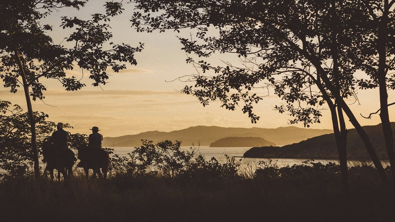Private Beachfront Development Land, Flamingo, Guanacaste