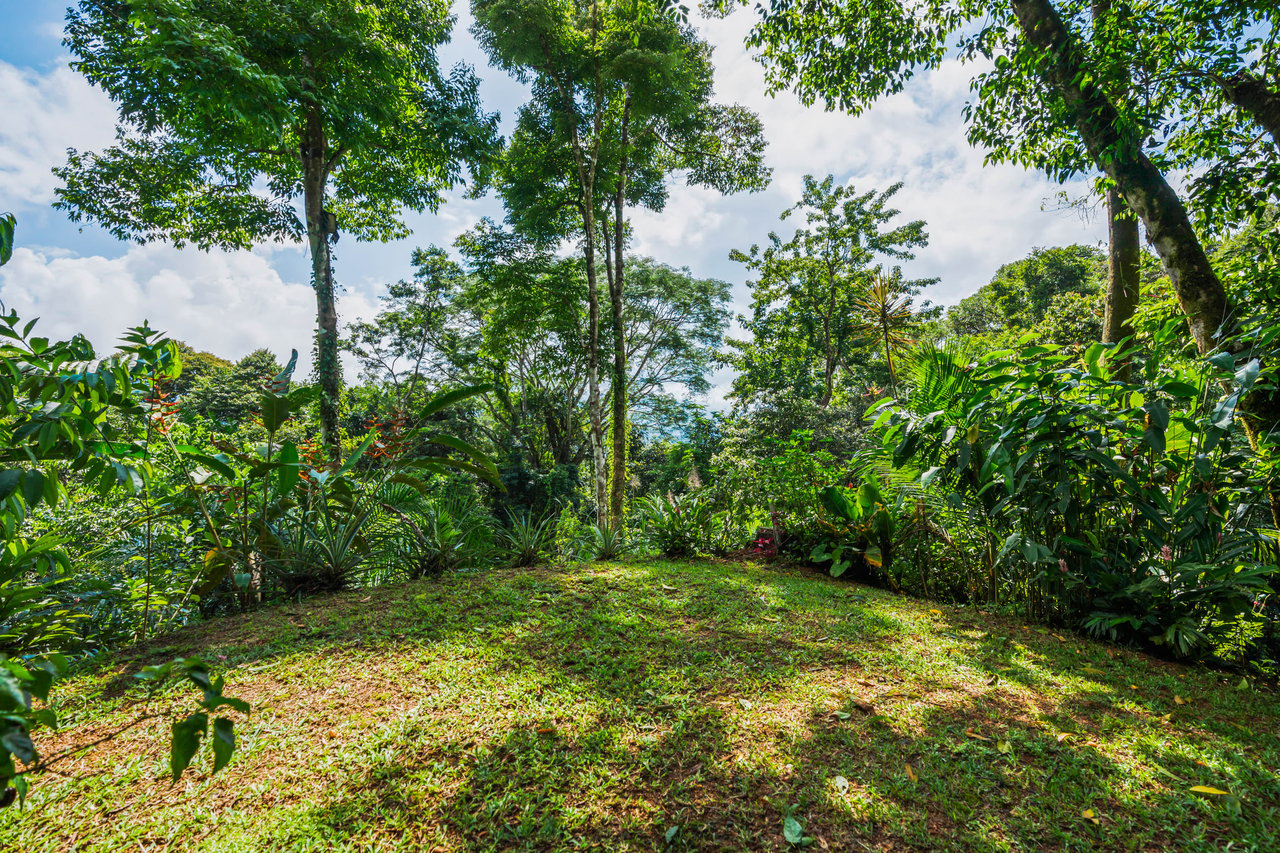 Tropical Villas on 11 Acres of Jungle. Great Location for a Retreat!