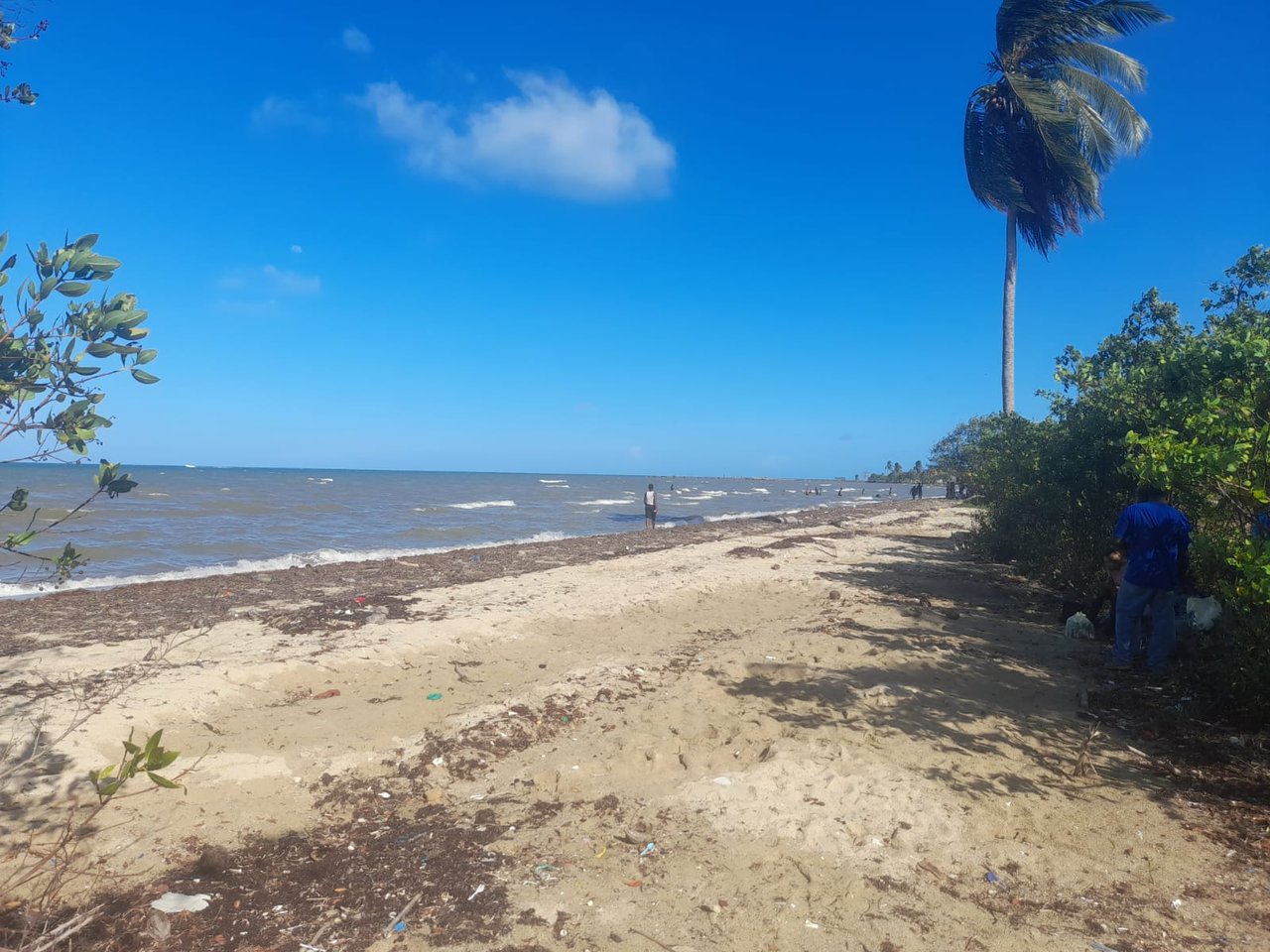 Charming 1.6 acre Caribbean Beachfront peninsular in Dangriga Town, Belize