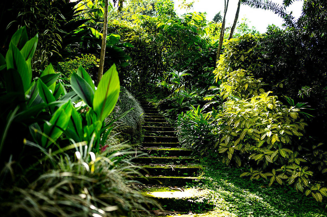 Arenal Lake View Home, Lake Arenal, Alajuela