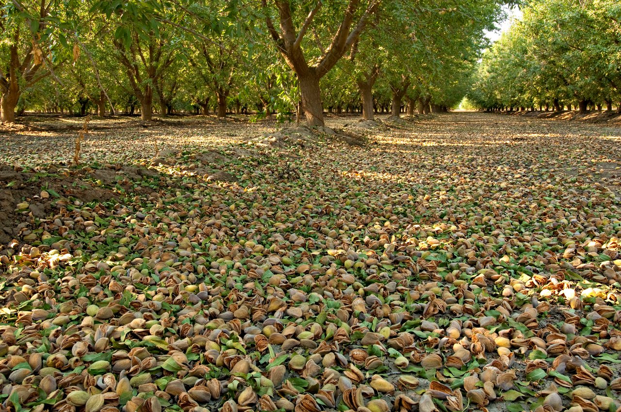 Fall Inputs For Next Year's Crop