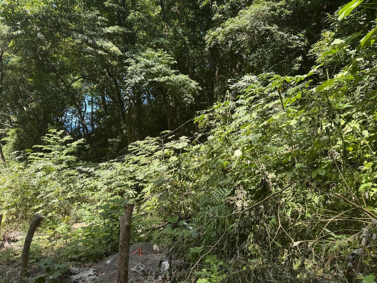Commercial Ocean View Lot, Santa Teresa, Puntarenas