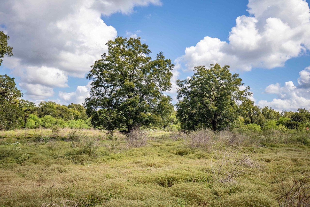 Lovers Lane River Ranch | 140± Acres | DeWitt County