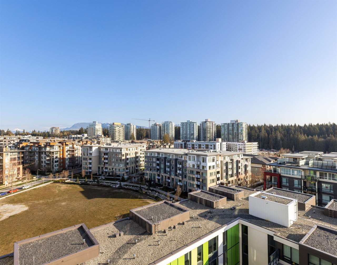 1106-3533 Ross Dr