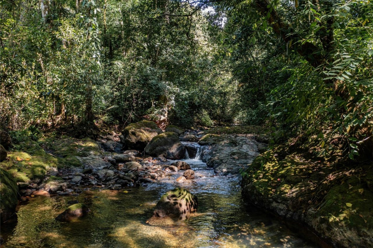 Ocean View Gated Development Lot, Dominical, Puntarenas