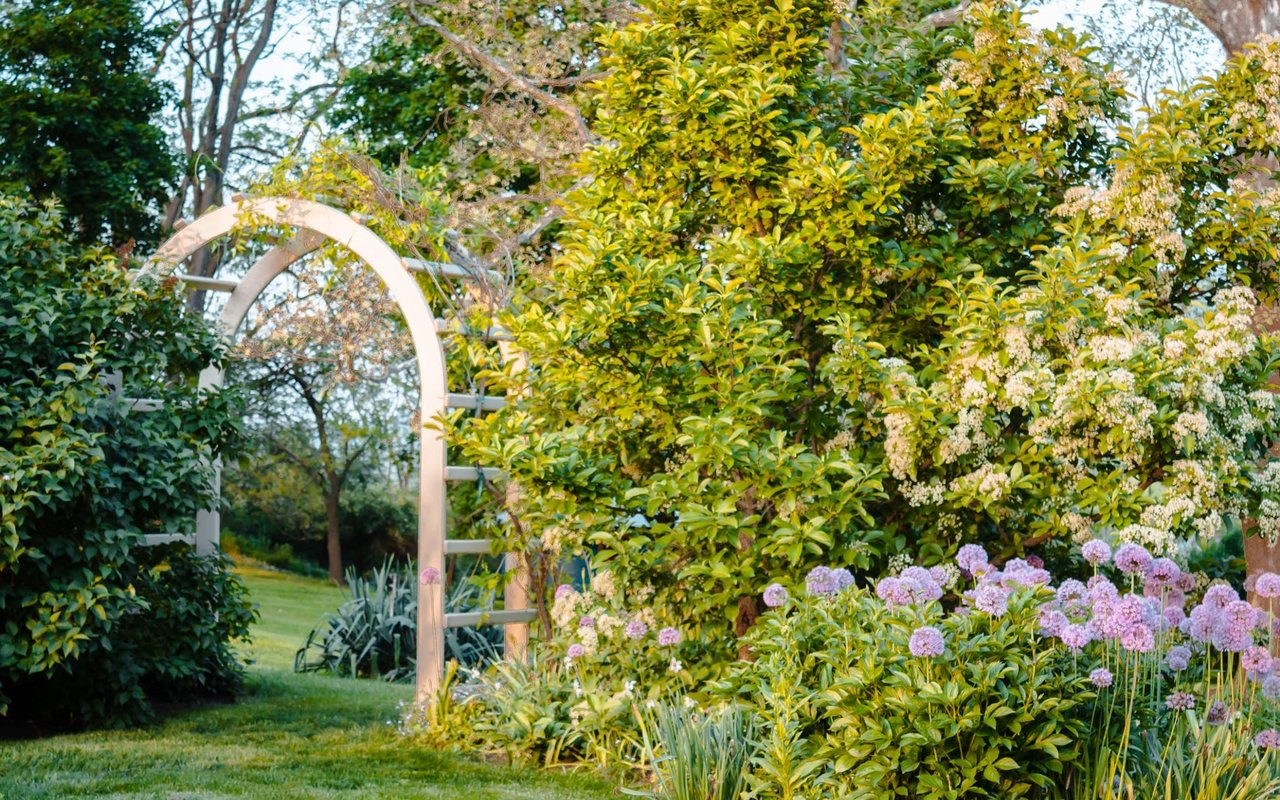 Yard Work Tips for a Perfect Home