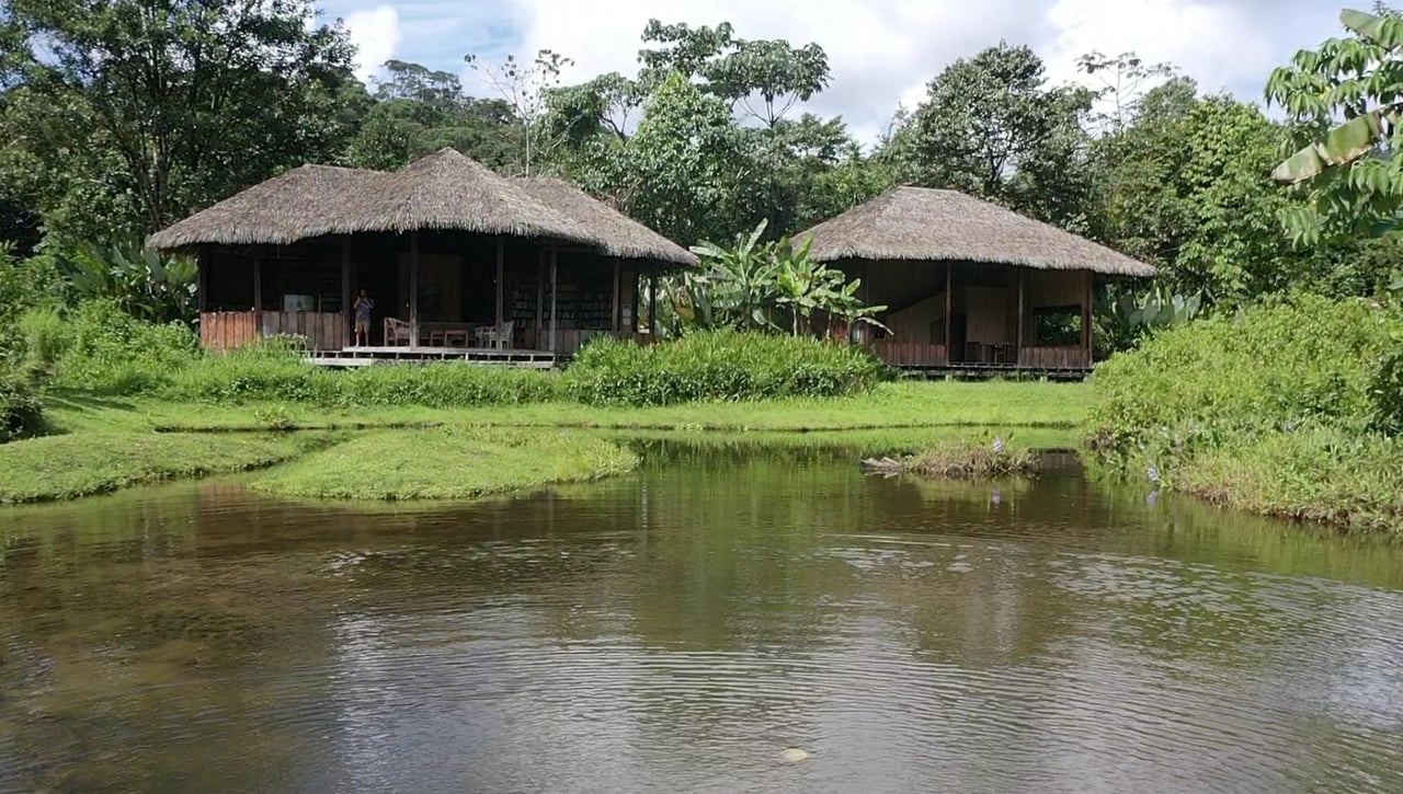 Sustainable Conservation Retreat, Osa, Puntarenas