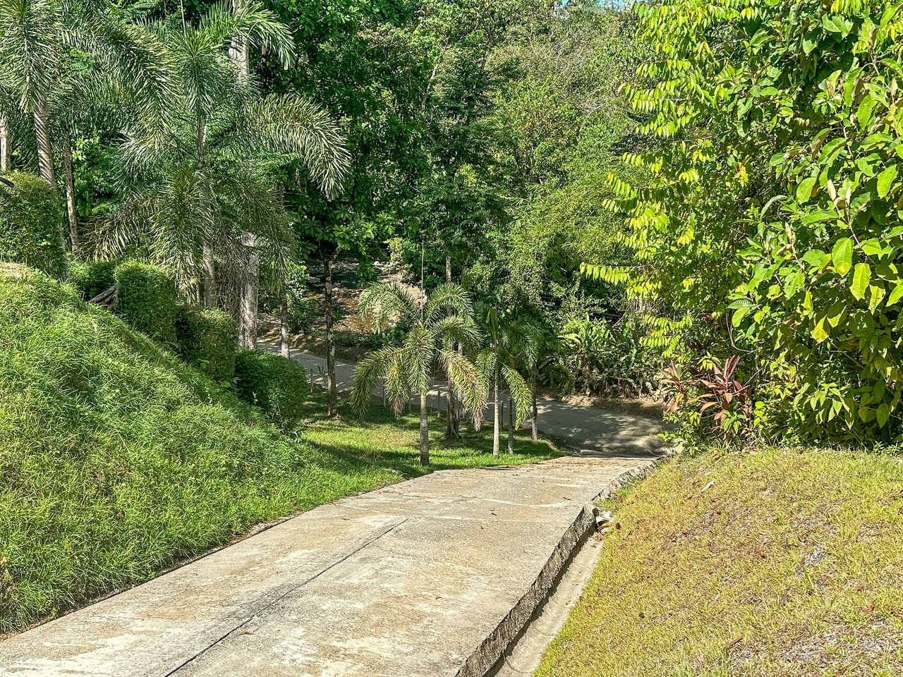 Elevated 2.2 Acres Jungle And Creek-Fronting Mountain View Lot In Ojochal