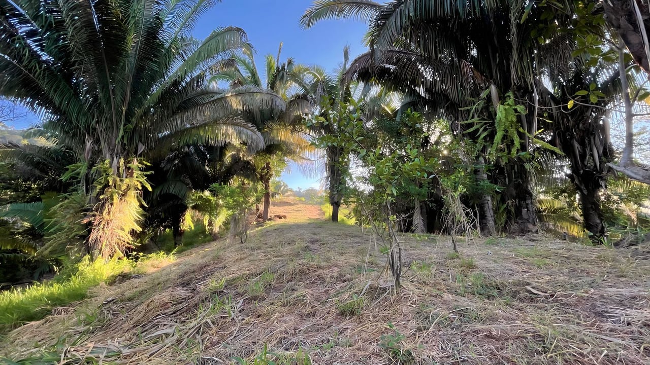  Exclusive Hermosa 1.2 Acre Lot with Panoramic Mountains and Ocean View. 