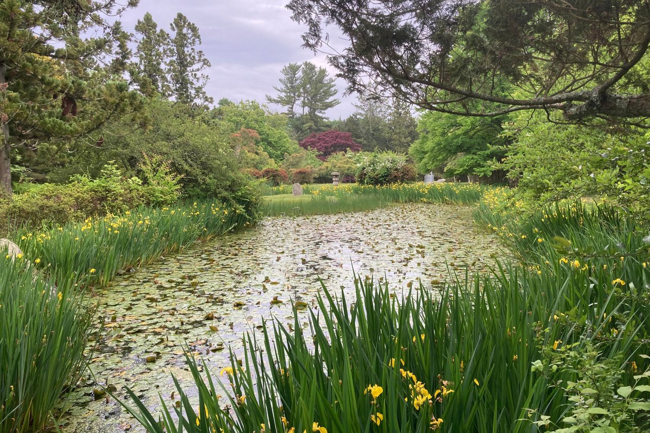 Ep #37: The Jewel of North Salem: Visiting The Hammond Museum & Japanese Stroll Garden with Liz Hammer