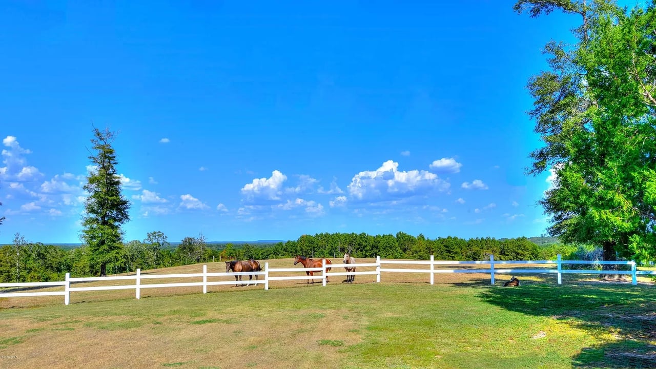 1651 Magnolia Road