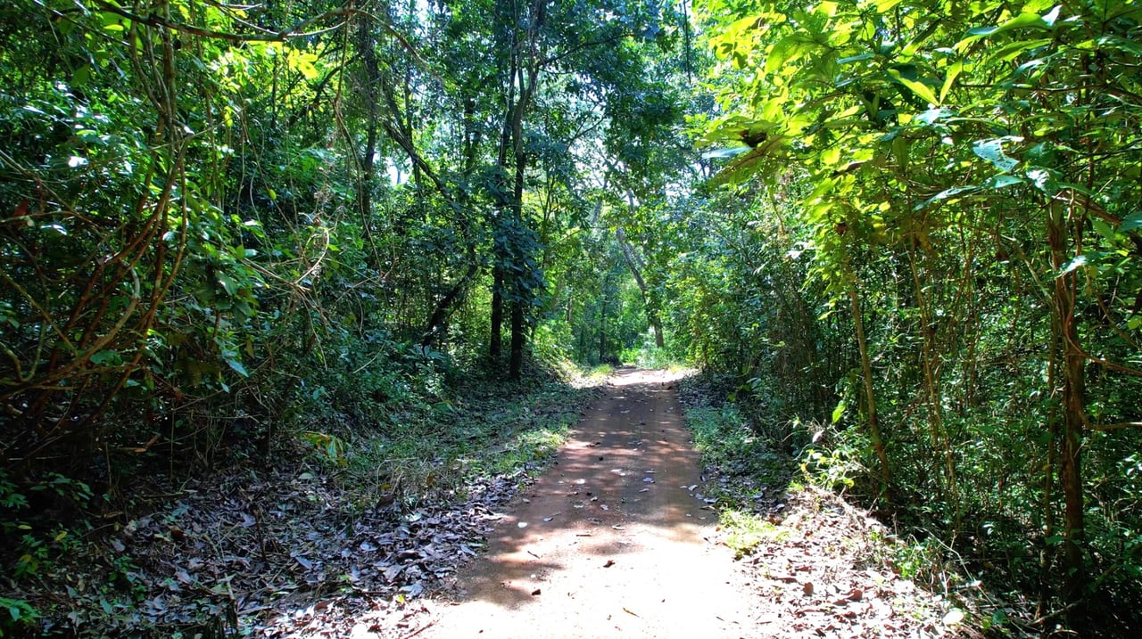 Ocean View Development Homesite, Nosara, Guanacaste