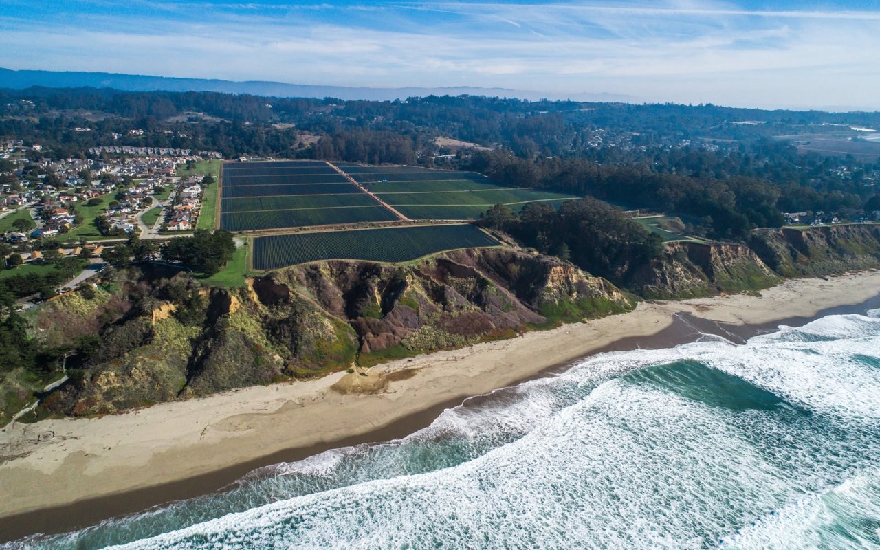 Seascape Bluffs