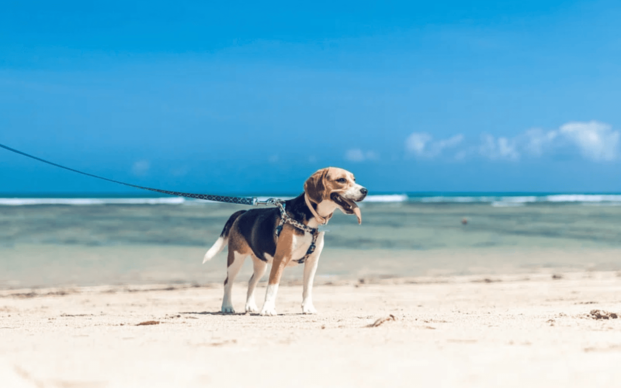 6 Neighborhood Amenities That Increase Home Value