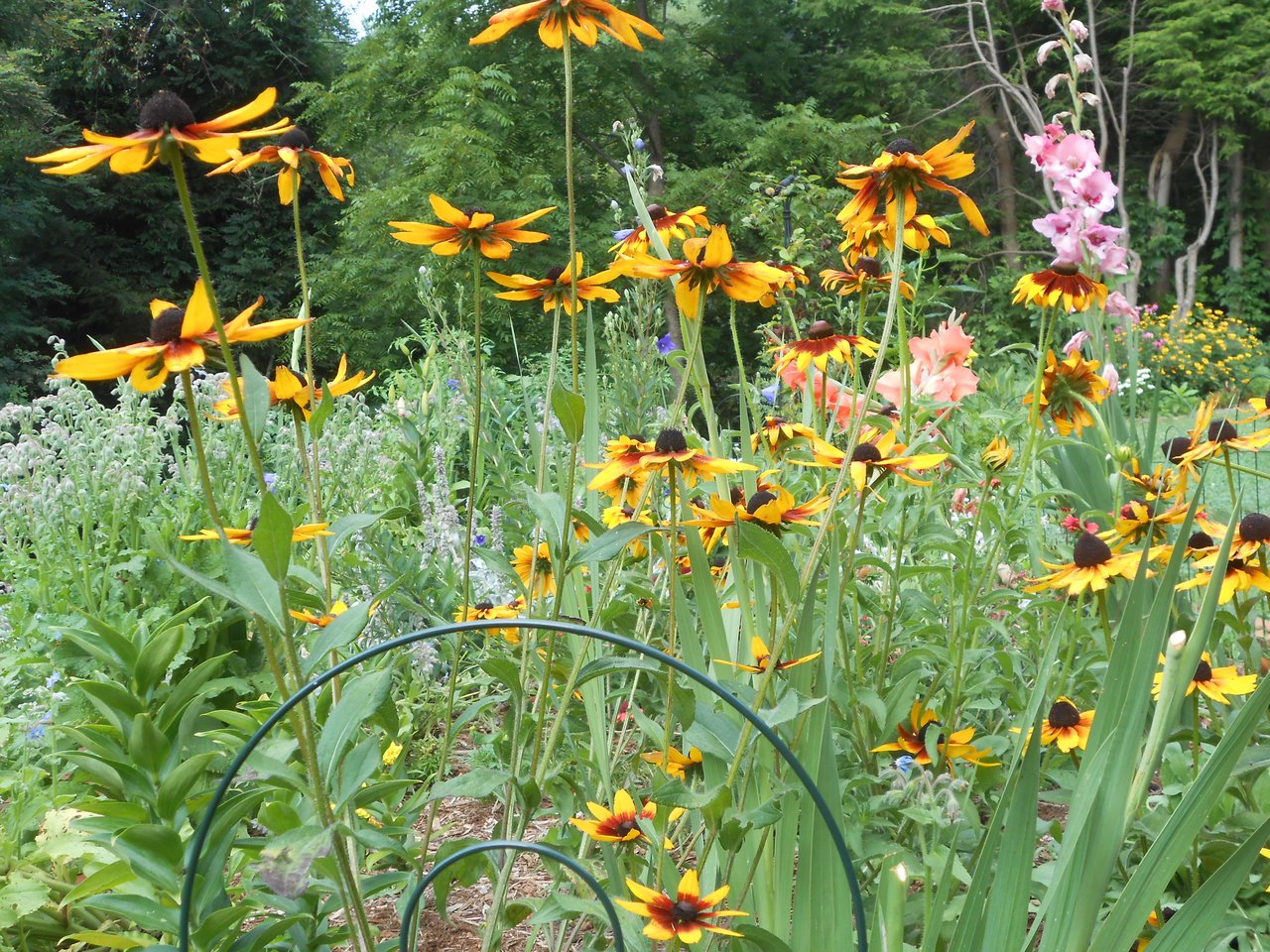 Living with the Earth, not just on it.