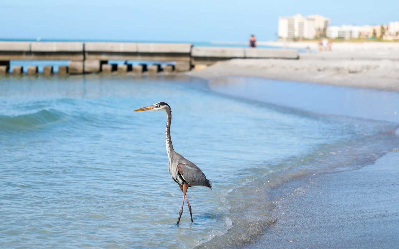 Longboat Key