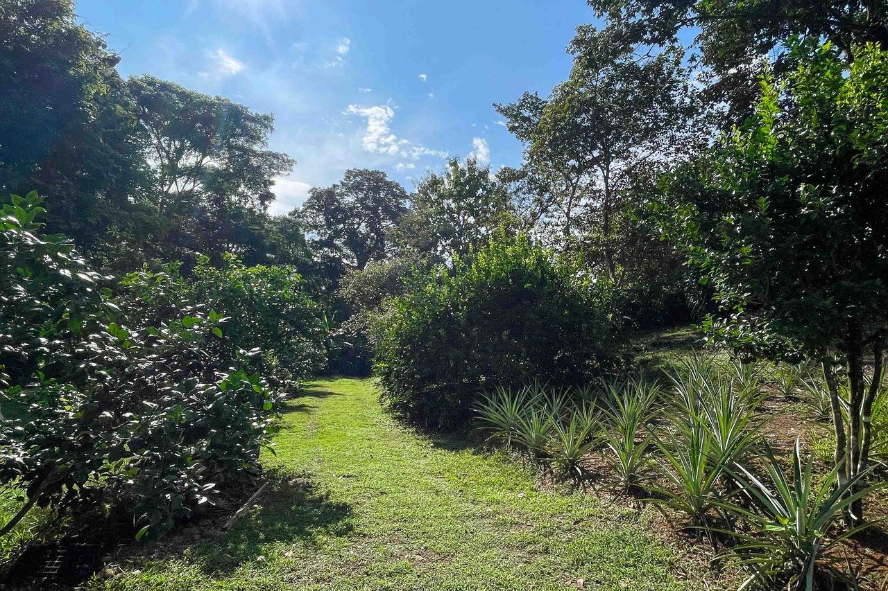 Tropical Paradise Farm in the Heart of Quepos