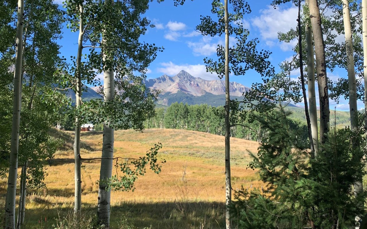 West Meadows, Preserve, Elk Run, Raspberry Patch