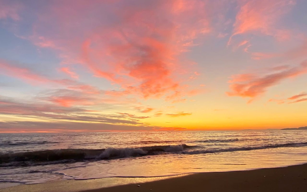 Encinitas Real Estate Market Prices, Trends and Forecast 2024
