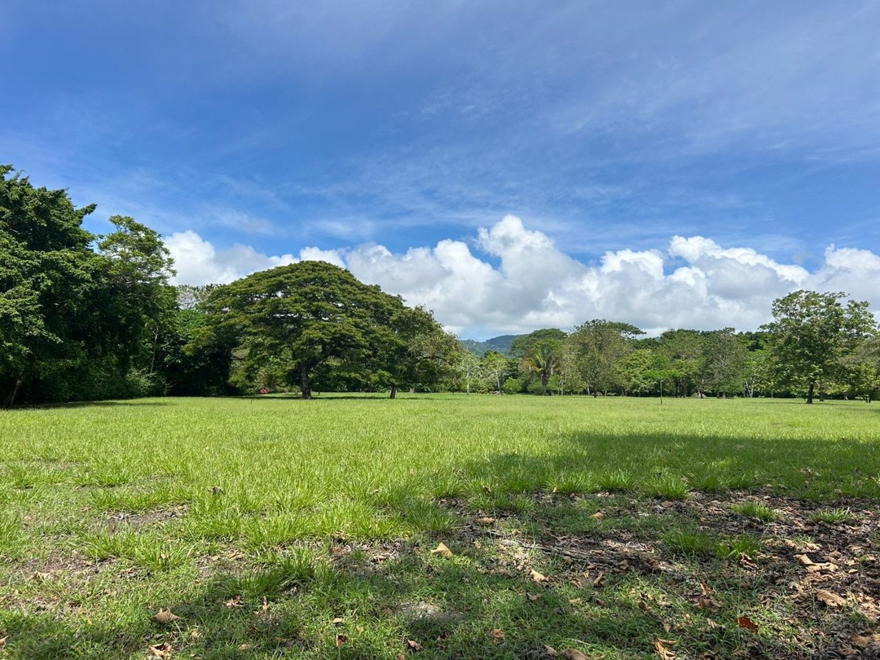 Titled Beachfront Development Land, Osa, Puntarenas