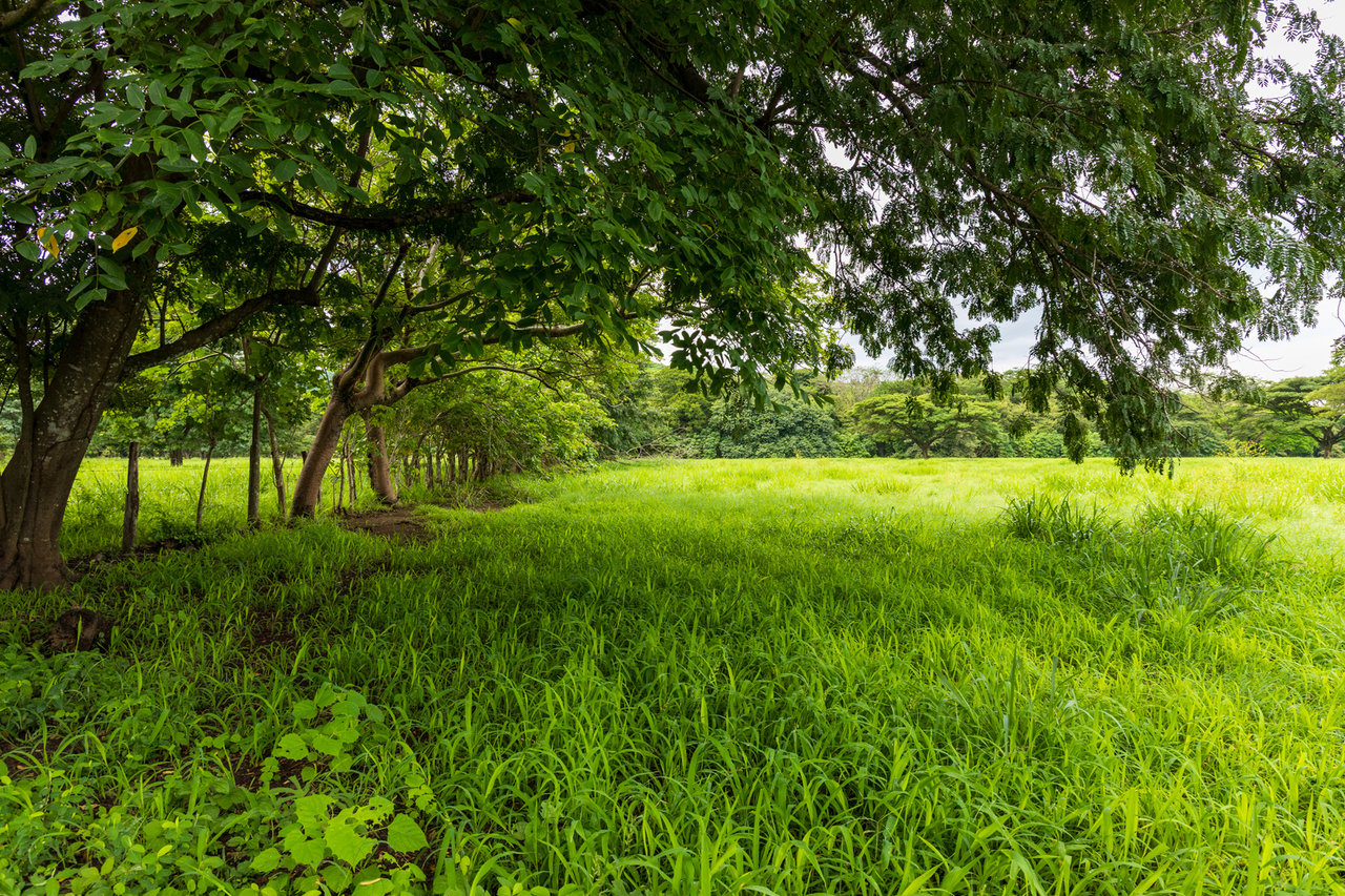 Expansive Fertile Mountain Ranch, Flamingo, Guanacaste