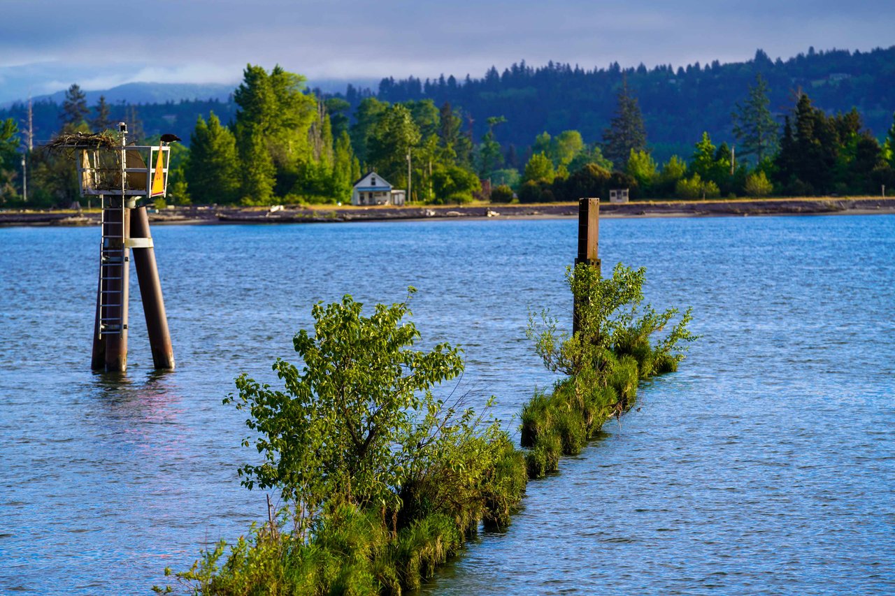 Coyote Point 