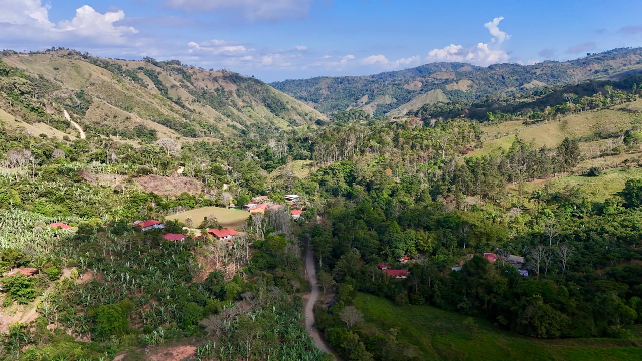 Over 2.5 Acres in Ceibo, Planted with Coffee and Fruits
