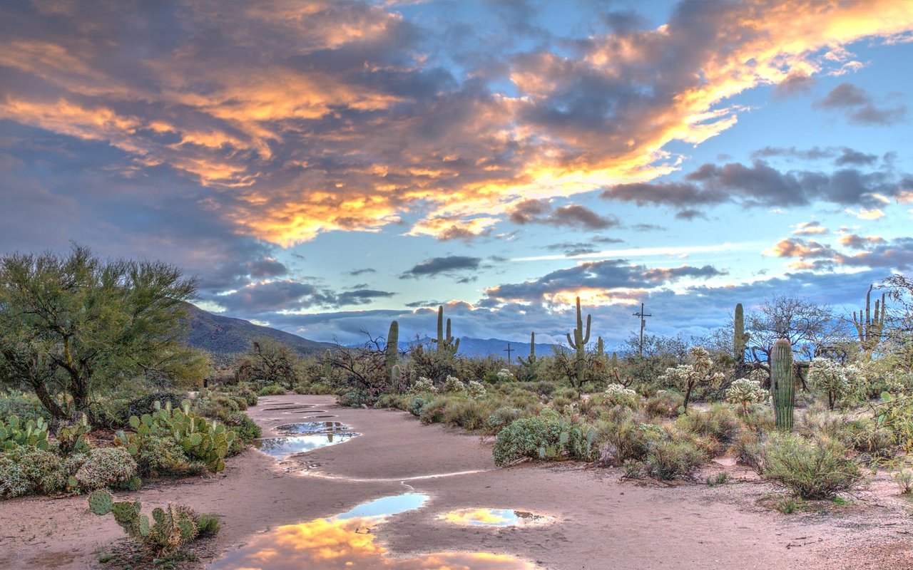 Oro Valley