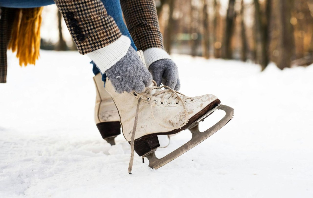 Shippan Point's Winter Activities: Celebrating the Season