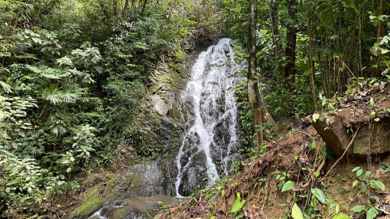 Waterfall Ocean View Estate, Ojochal, Puntarenas