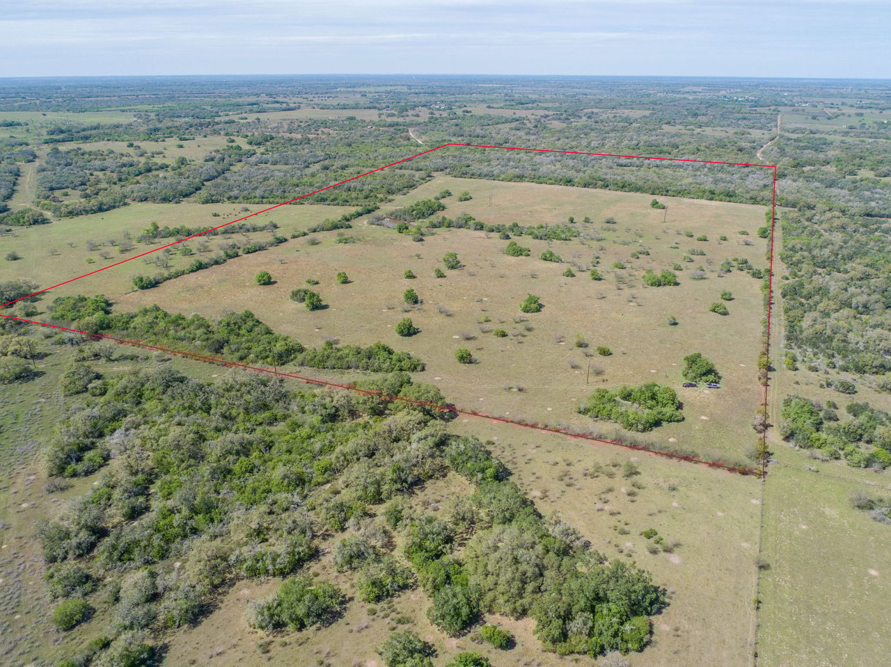 Weesatche 110 Acres