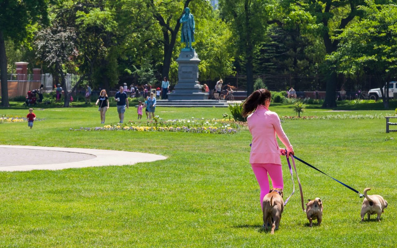 Lincoln Park