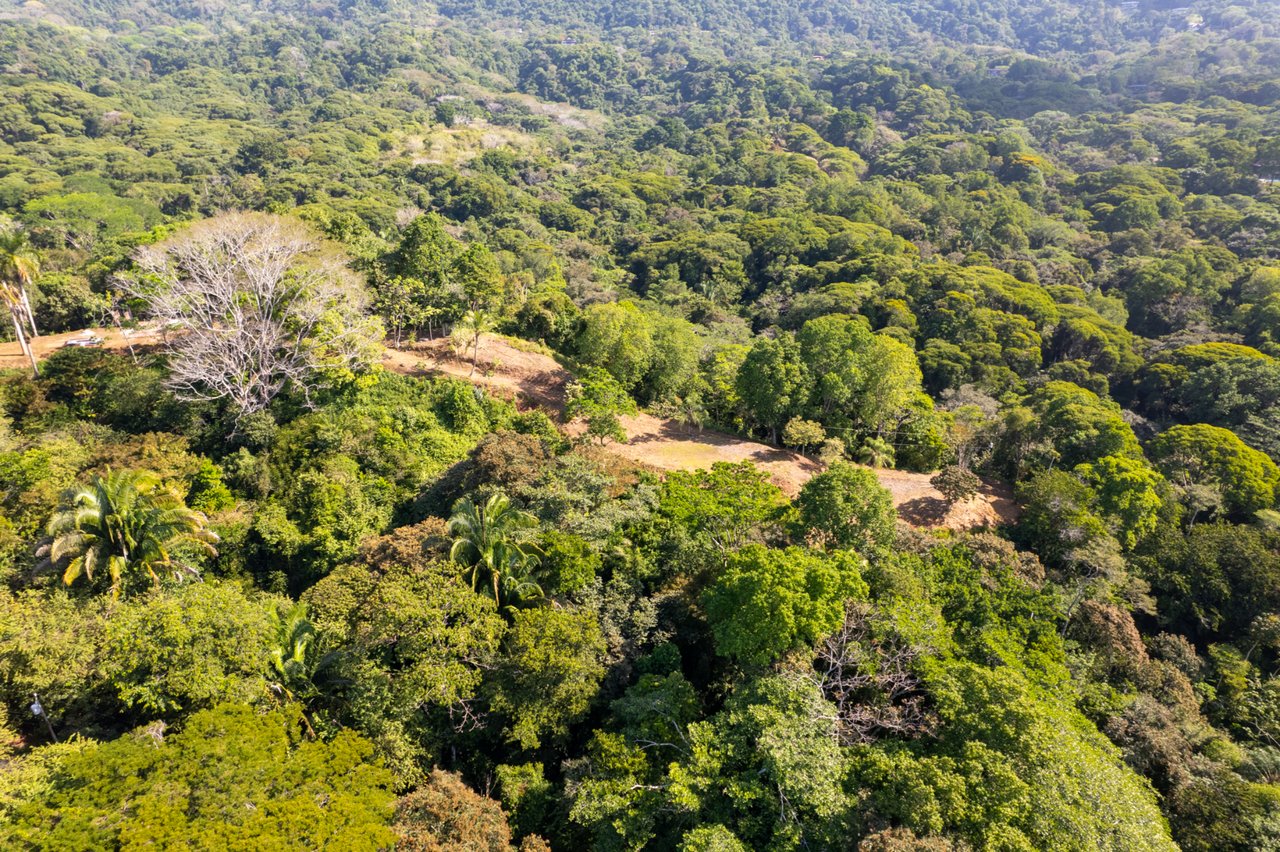 Prime Coastal Development Land, Dominical, Puntarenas