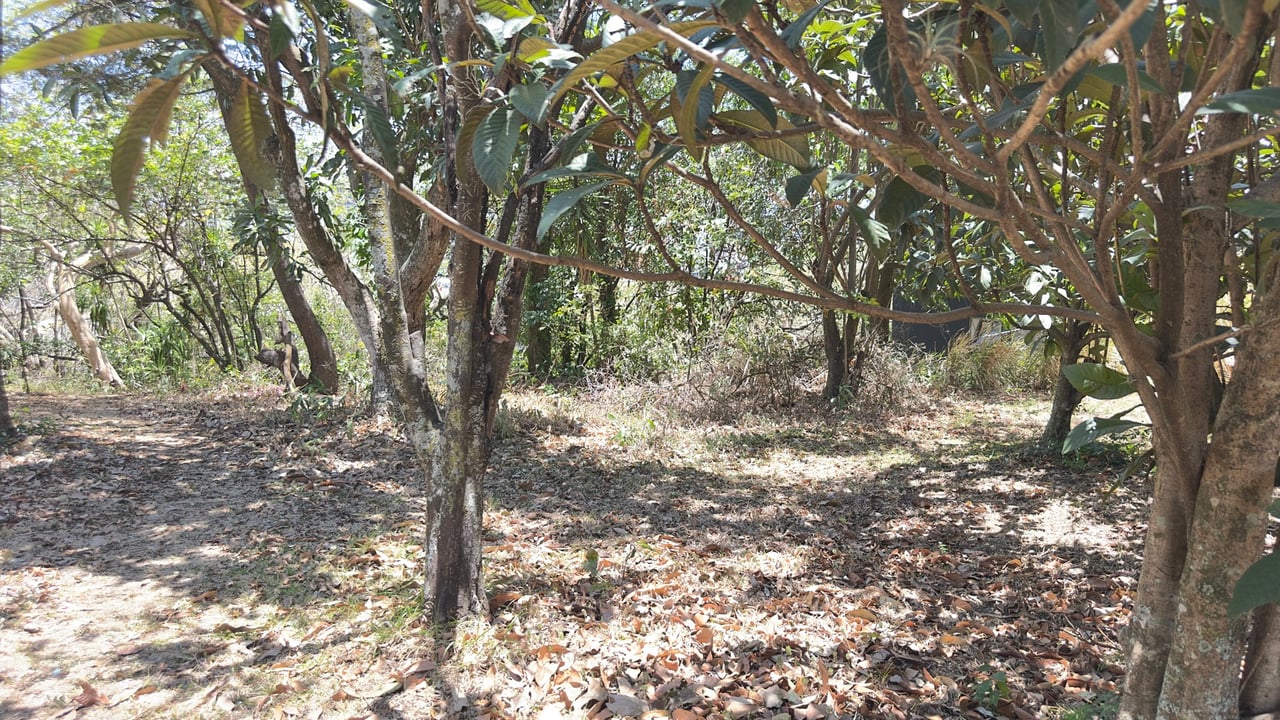 Golden Mile Development Land, Escazu, San Jose