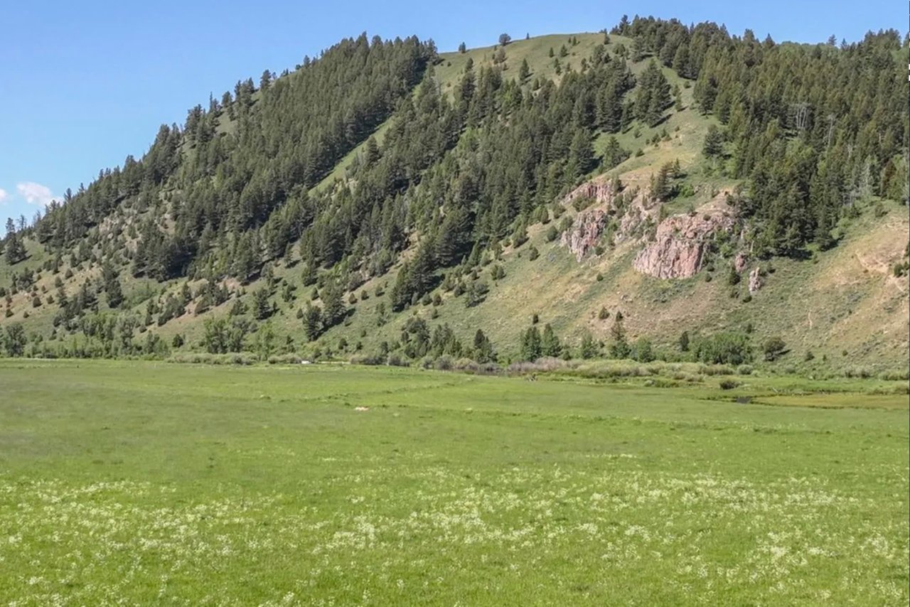 Spring Creek Confluence