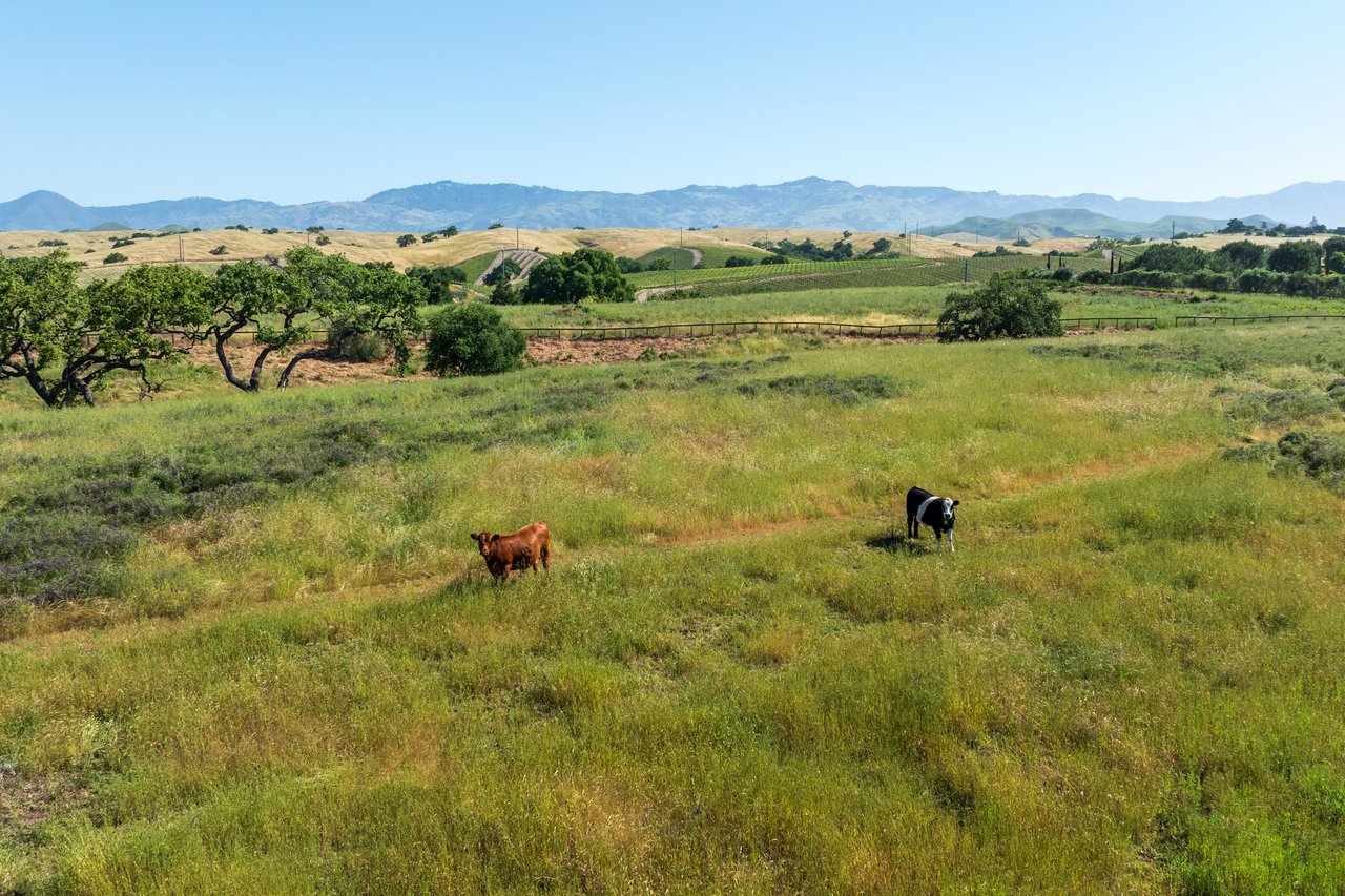 19+ Picturesque Acres on Baseline Avenue