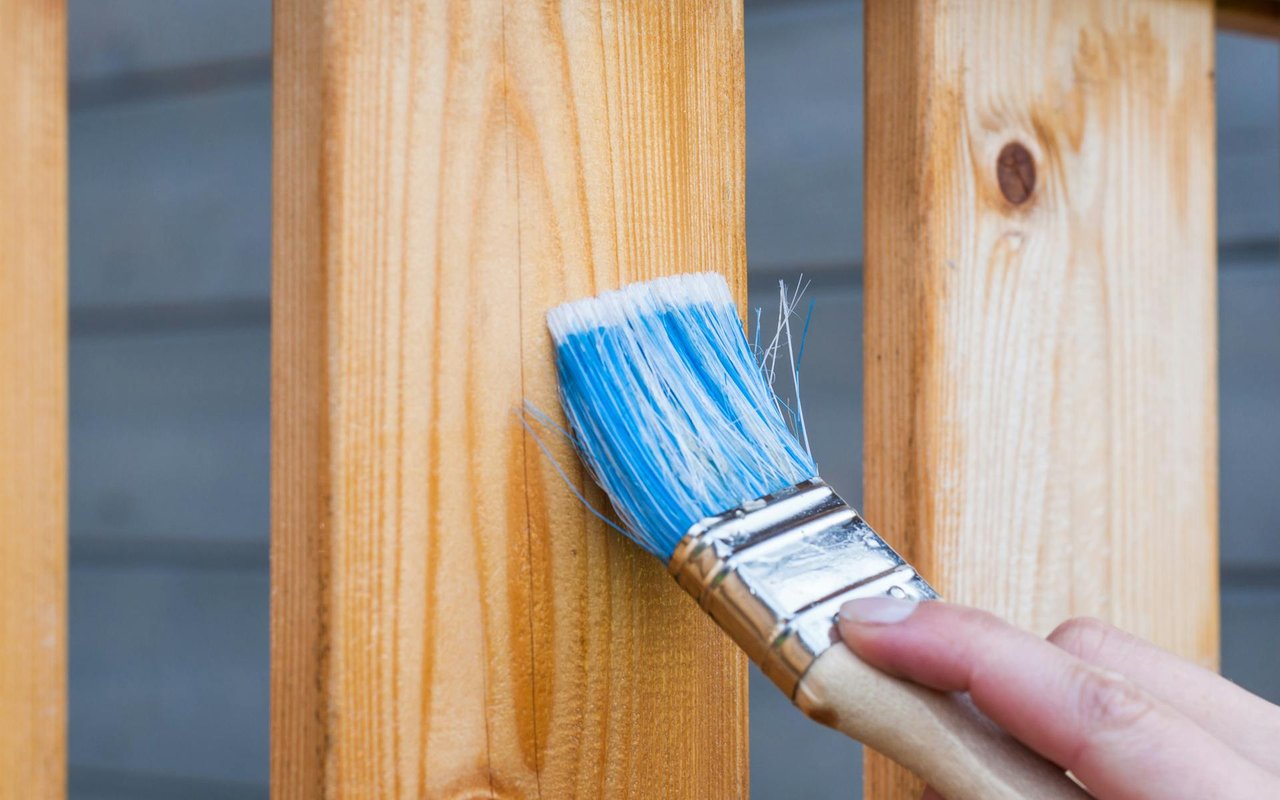 4 DIY Home Improvement Projects to Do with Your Companion