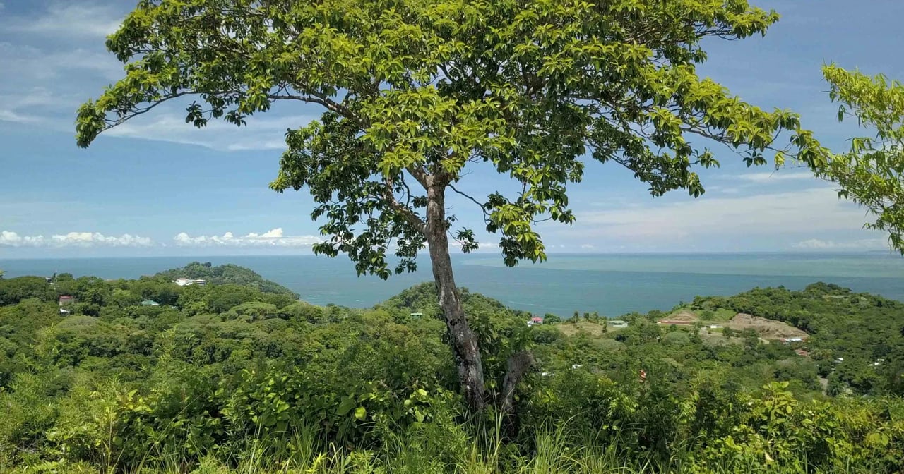 Ocean View Development Homesite, Manuel Antonio, Puntarenas