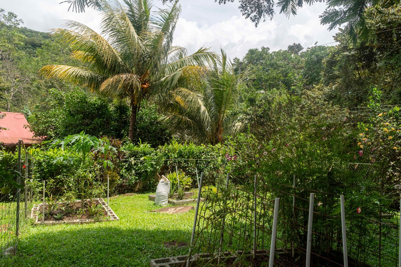 Charming 3-Bedroom Home in La Palma, Pérez Zeledón.