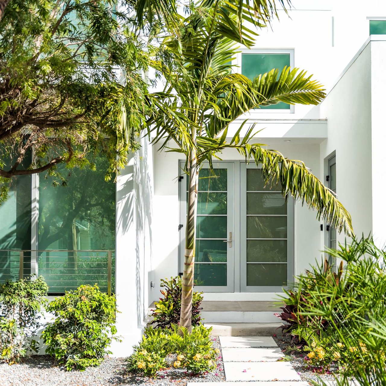  The entrance of a modern white house with a tall palm tree centered in front of light gray double doors.
