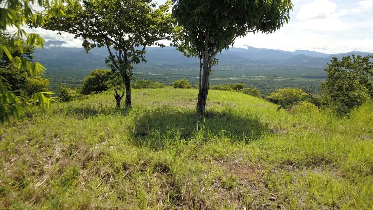 205 Acre Unsurpassed Ocean View Land, Manuel Antonio to Quepos