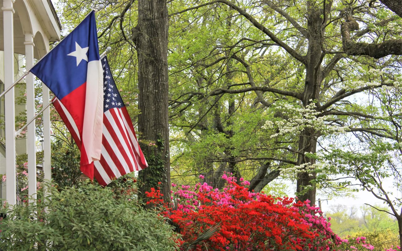 Our Comprehensive Real Estate Marketing Plan to Sell Your Next Home