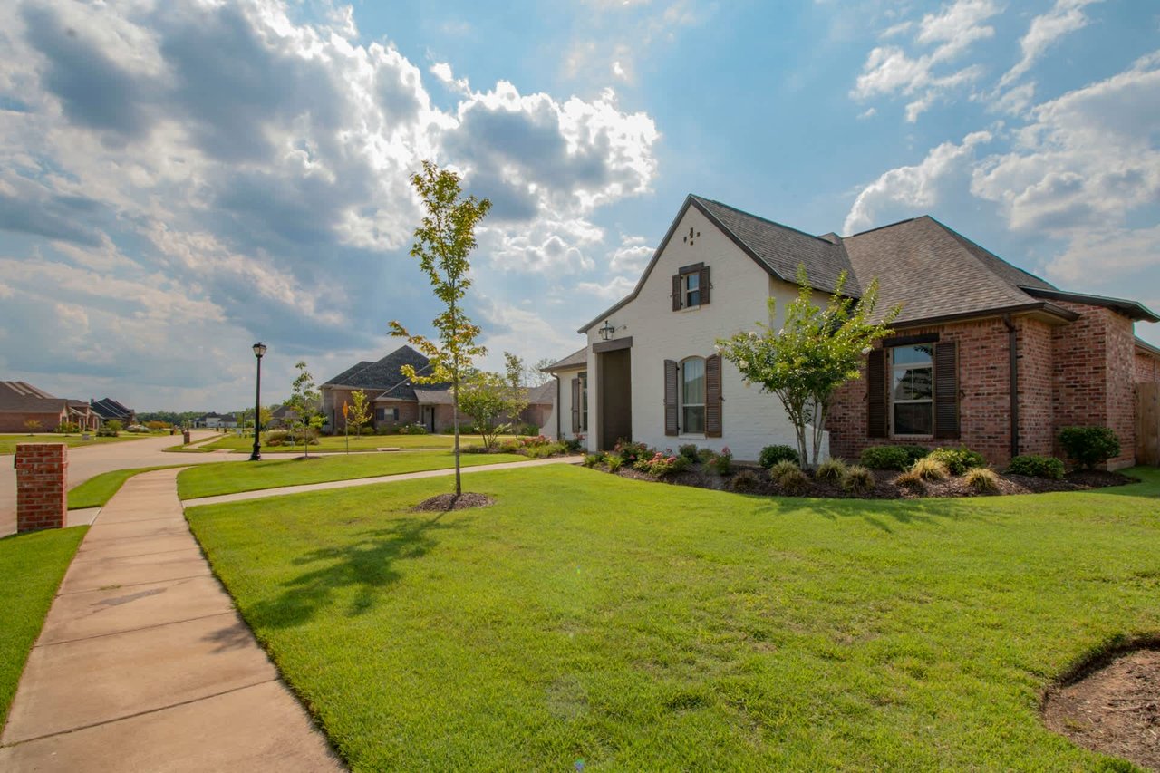 Houston's Green Revolution: The Growing Demand for Eco-Friendly Homes in Space City