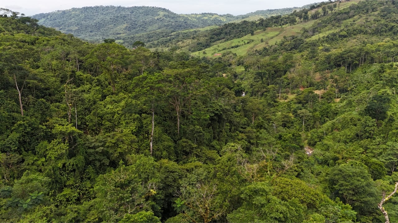 Rainforest Waterfall Acreage Estate, Dominical, Puntarenas