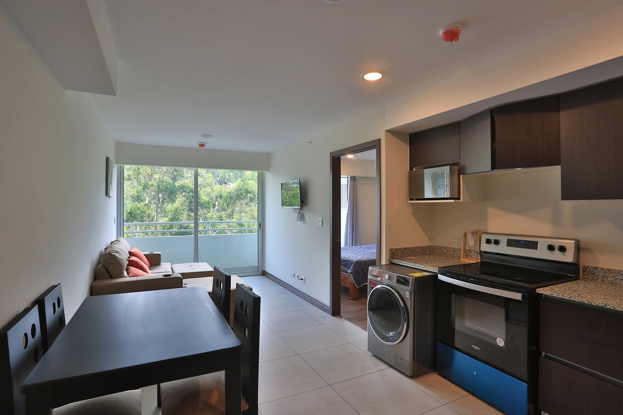 Urban Condo With Rooftop Gym, Heredia