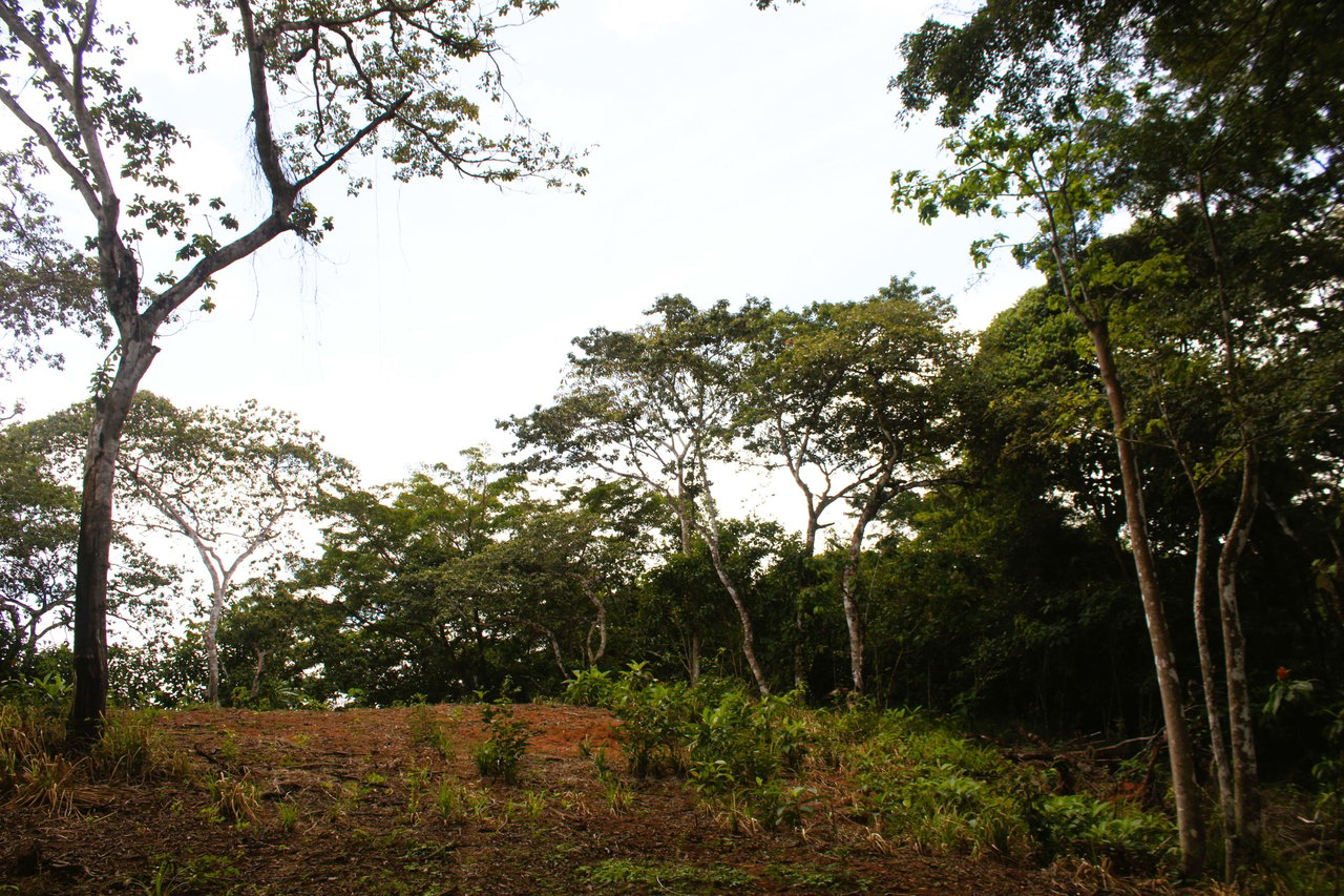 Wildlife Reserve Farm close to Ojochal