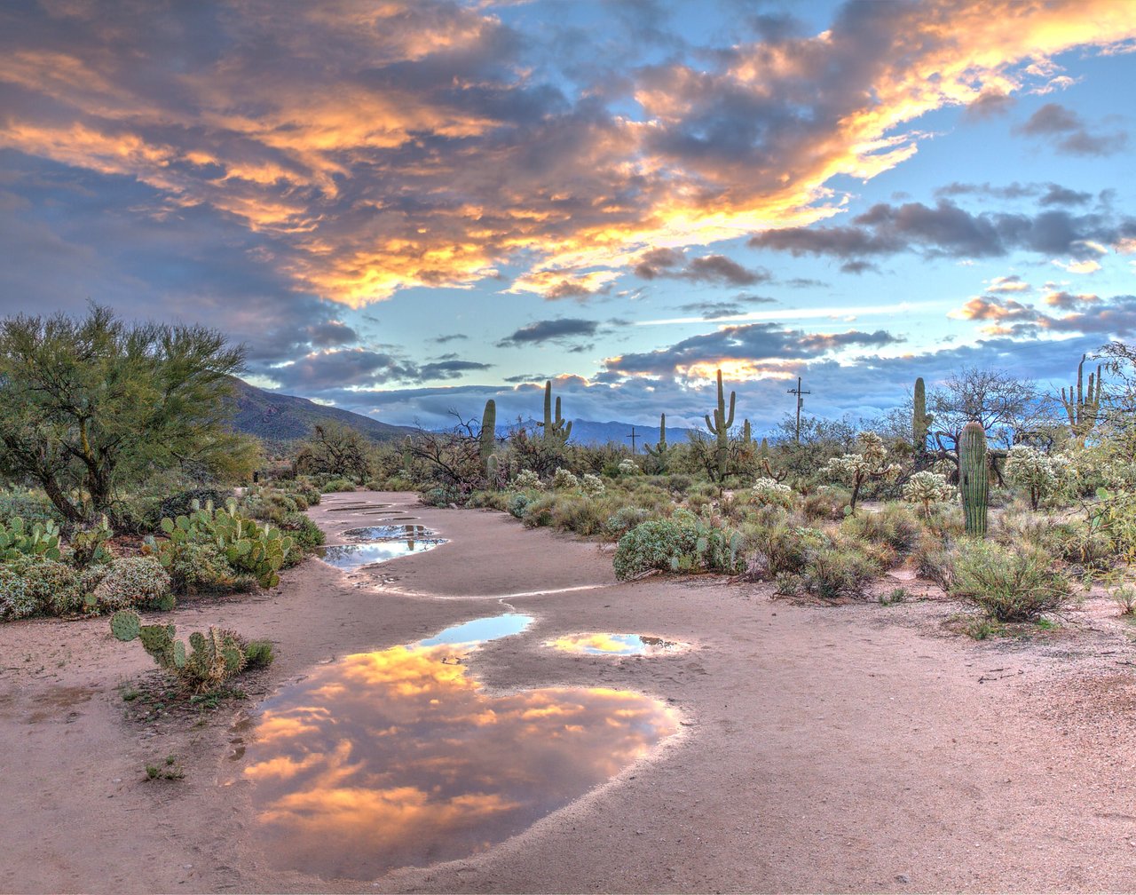 Turn Around, Don’t Drown: Preparing For Monsoon Season